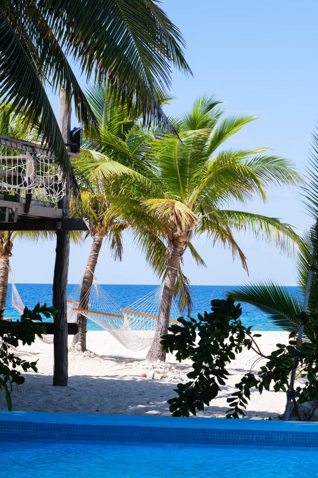 Beachcomber Island Resort Экстерьер фото